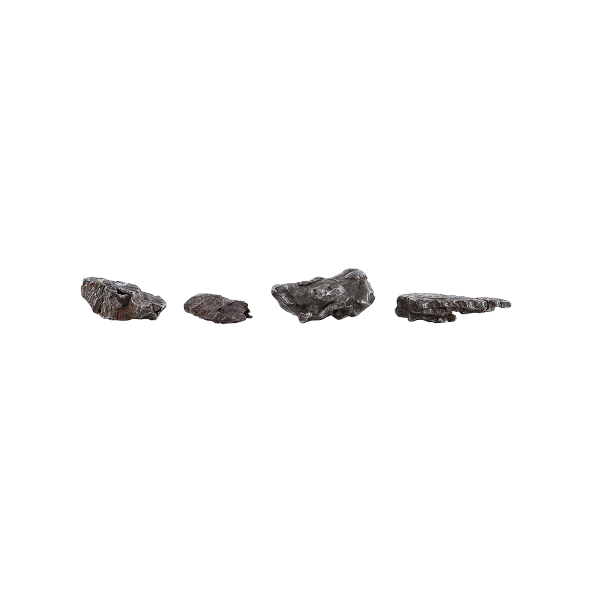 Meteorit