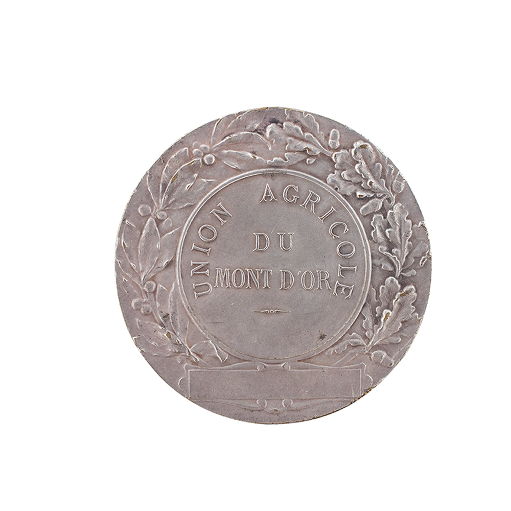 Fransız Cumhuriyeti Patriot Patria Sanat Madalyonu Republique Francaise Ödülü 1909